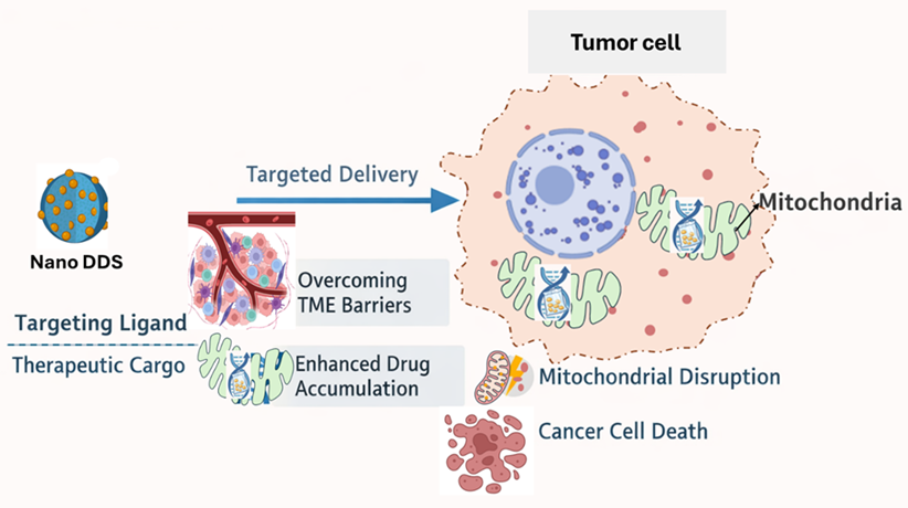 Revolutionizing Mitochondrial Targeting Nanomedicine Across Tumor ...