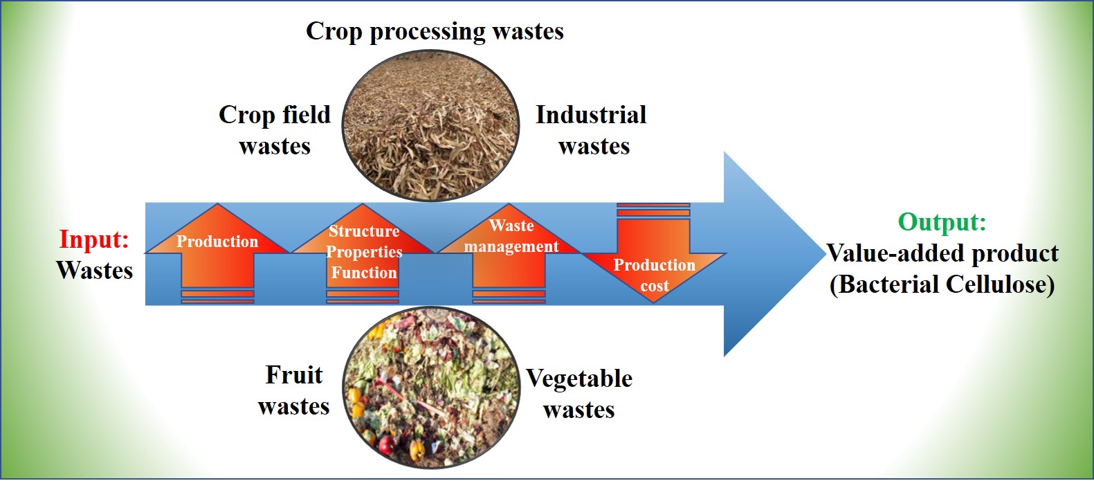 Potential of Food and Agro-Industrial Wastes for Cost-Effective Bacterial Cellulose Production: An Updated Review of Literature
