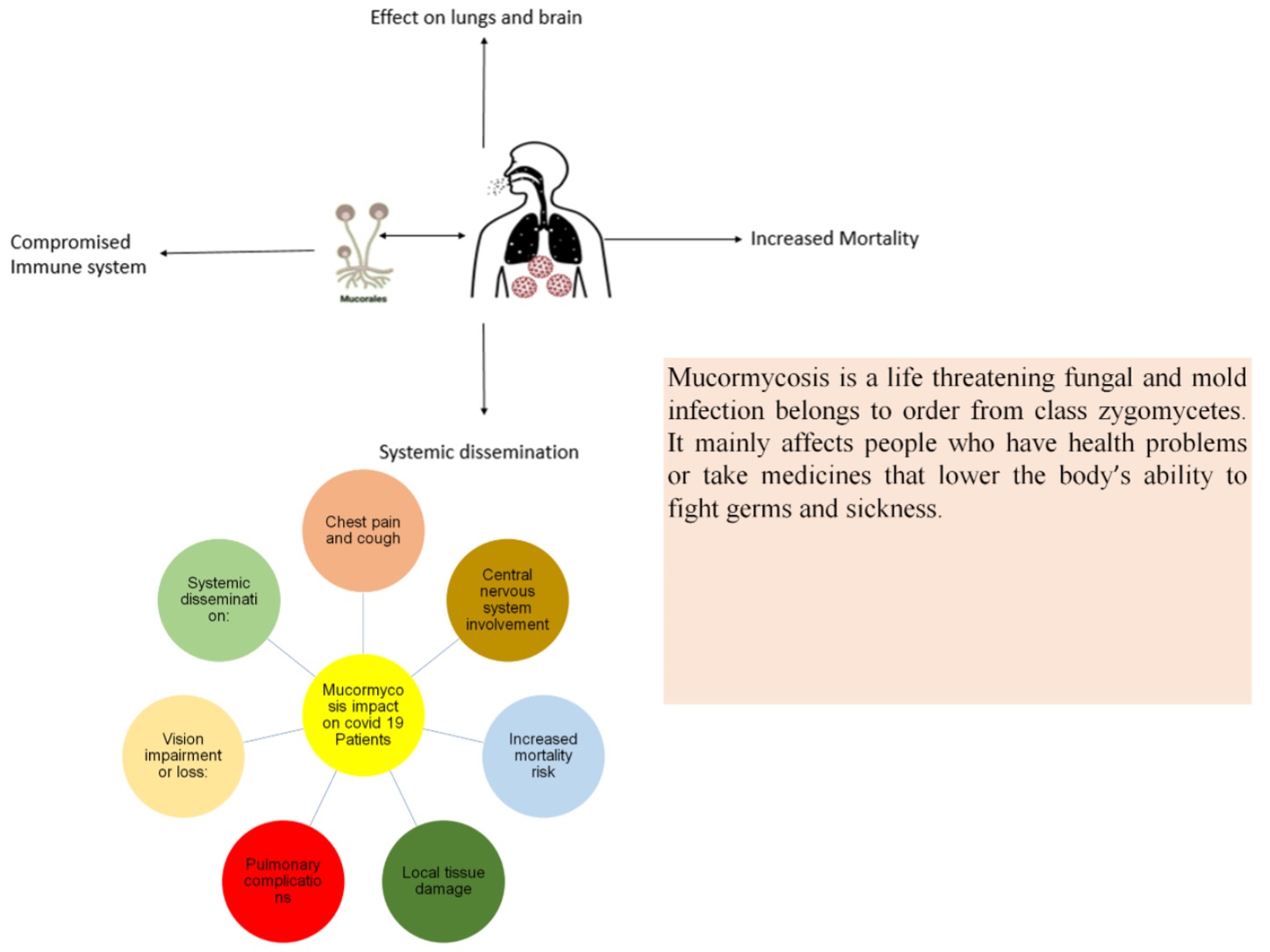 Impact of Mucormycosis on Health of Covid Patients: A Review