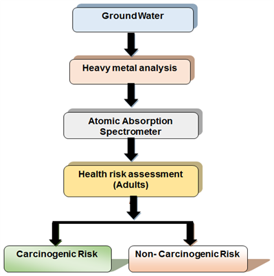 Health Impact of Ground Water Sample and its Effect on Flora of Kanker District, Chhattisgarh, India
