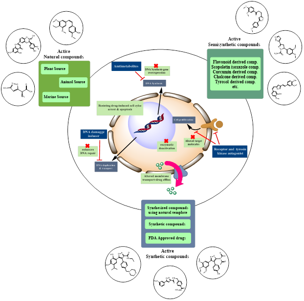 Cancer-Fighting Isoxazole Compounds: Sourcing Nature's Potential and Synthetic Advancements- A Comprehensive Review
