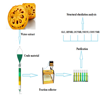 Structural investigation of a Novel Polysaccharide (HWSPP) from Semi-Ripe Bael Fruit Pulp (Aegle marmelos)
