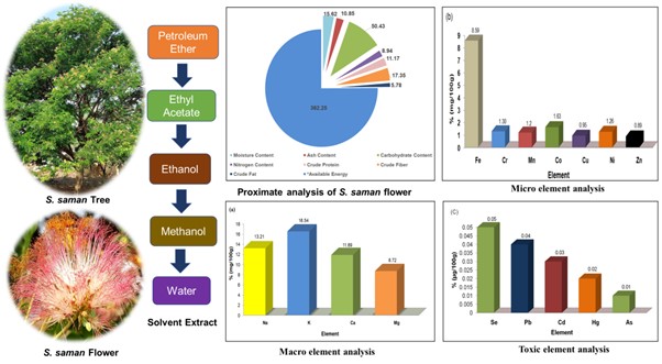 Proximate Analysis and Elemental Profile of Samanea saman Flower
