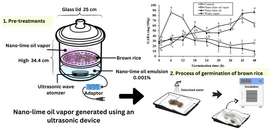 Rapid Gamma-Aminobutyric Acid Production and Shelf-Life Extension of Cooked Germinated Rice Using Ultrasonically Activated Nano-Lime Oil Vapor
