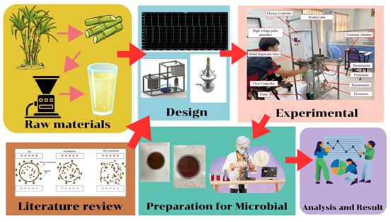 Effect of Pulsed Electric Field (PEF) on Bacterial Viability Raw Sugarcane Juice

