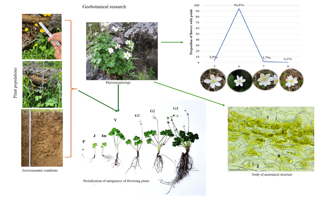 Methodological Guide for Geobotanical Research on Rare, Endemic, and Medicinal Plants: A Case Study of the Ranunculaceae Family
