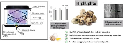 Underlying Mechanisms of Citronella Oil Vapor Generated by an Ultrasonic Humidifier in Inhibiting Pathogenic Bacteria and Extending the Shelf Life of Quail Eggs
