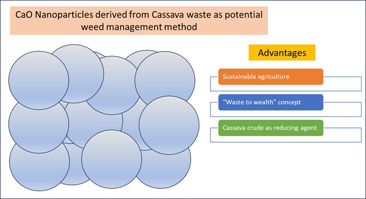 Synthesis and Phytotoxic Test of Calcium Oxide Nanoparticles Derived from Cassava Peels and Leaves Against Selected Malaysian Common Weeds
