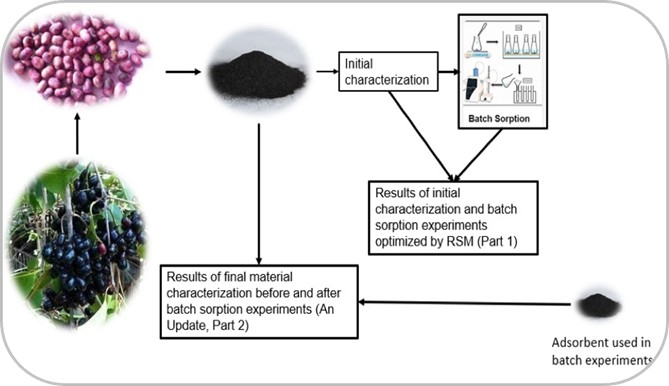Jamun Seed (Syzygium Cumini) Biochar as a Potential Adsorbent for Environmental Applications
