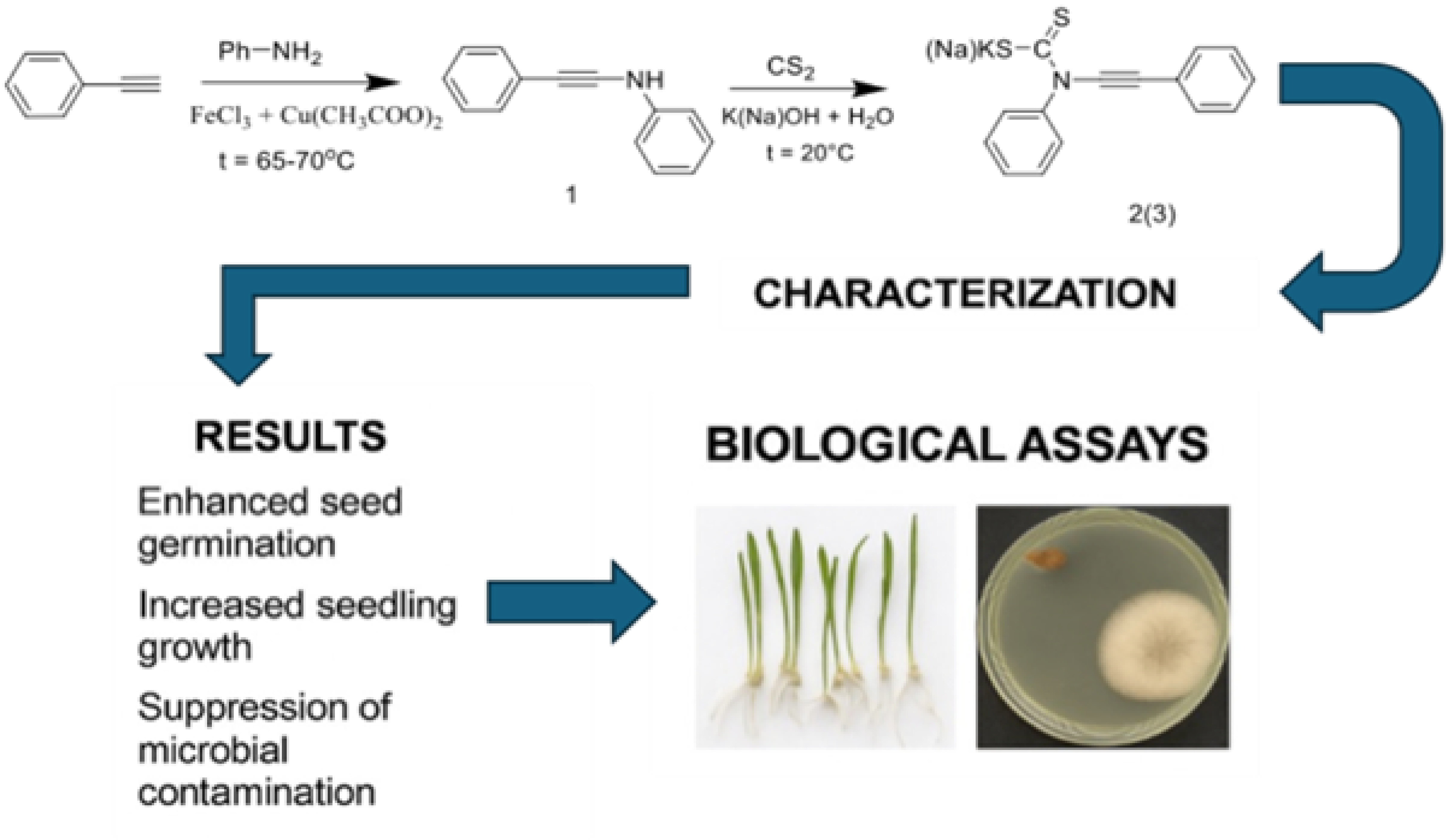Synthesis of Functionally Substituted Dithiocarbamate Derivatives as Potential Plant Growth Regulators
