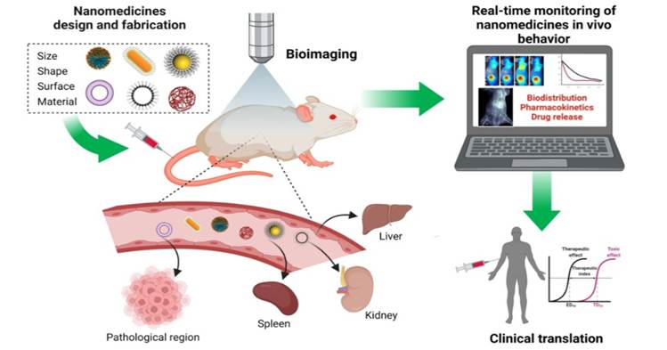 Recent Development in Novel Route of Biosynthesis of Nanomaterials Using Bos Taurus Urine
