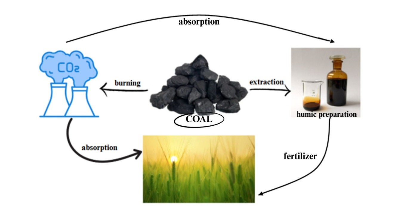 Efficiency of using Humic Preparations to Increase the Yield of Spring Wheat in the Conditions of Northern Kazakhstan

