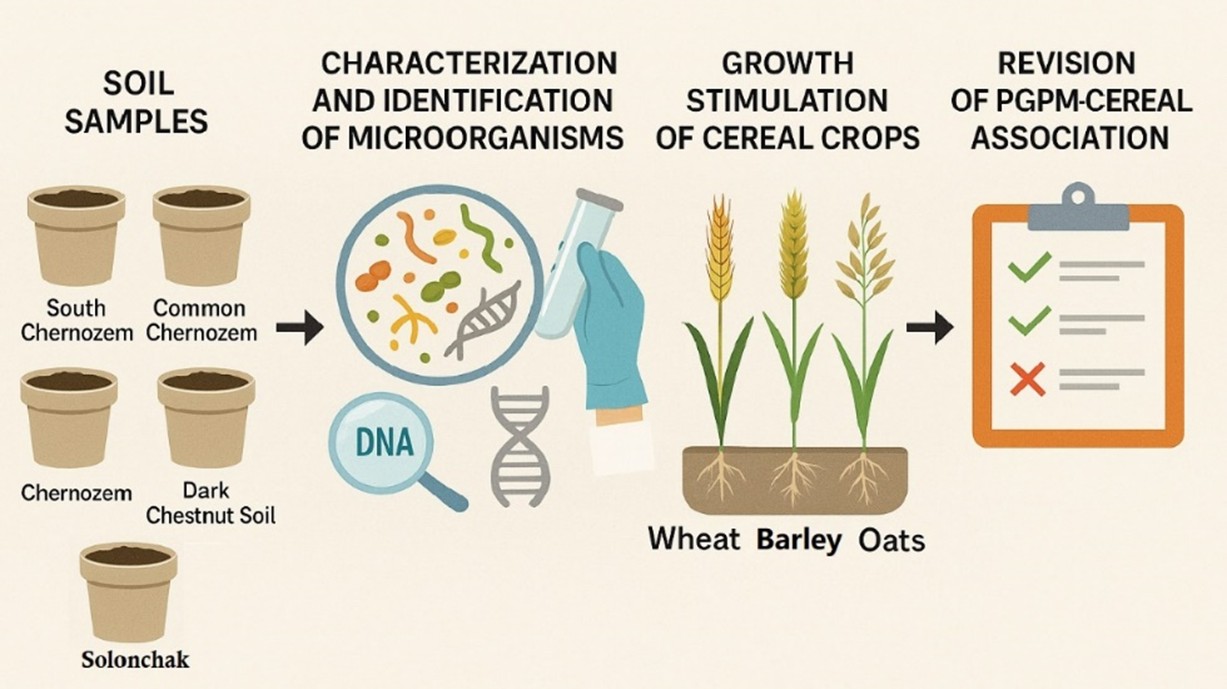 Screening for Growth Promoting Soil Microorganisms in Northern Kazakhstan
