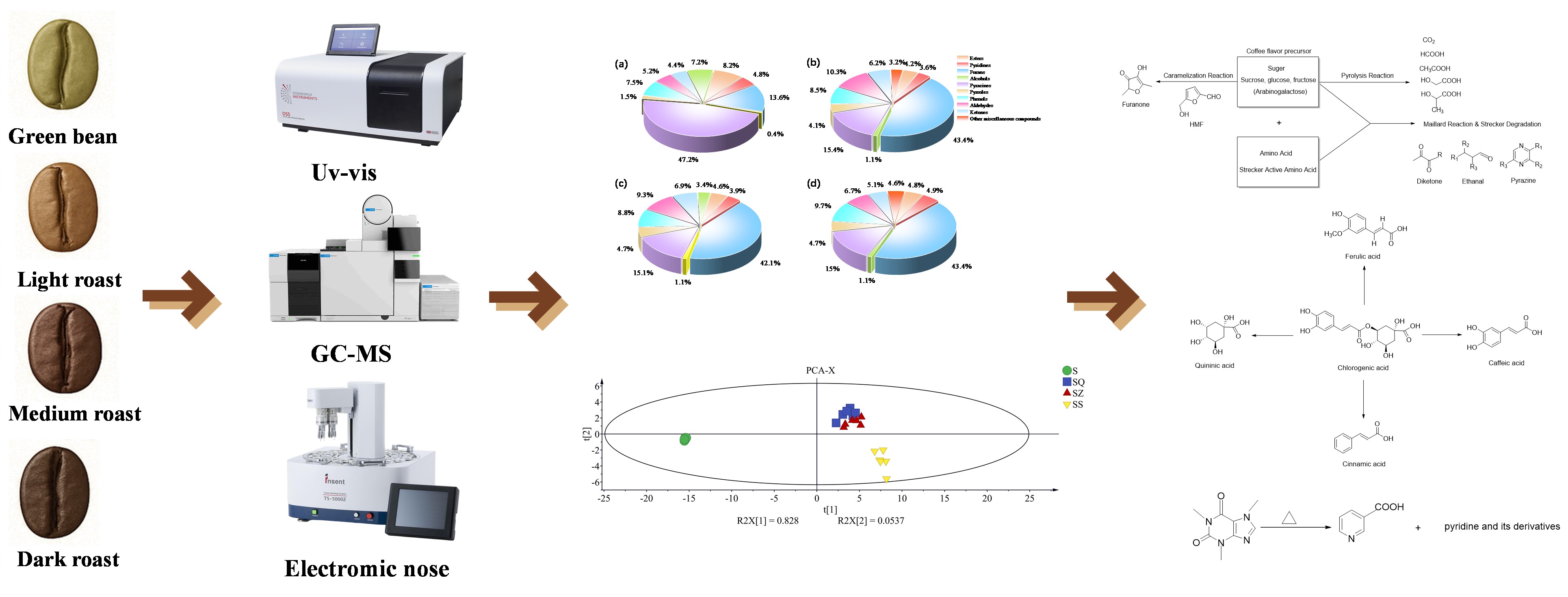 A Multivariate Analysis of Roasting Induced Flavor and Chemical Changes in Yunnan Arabica Coffee
