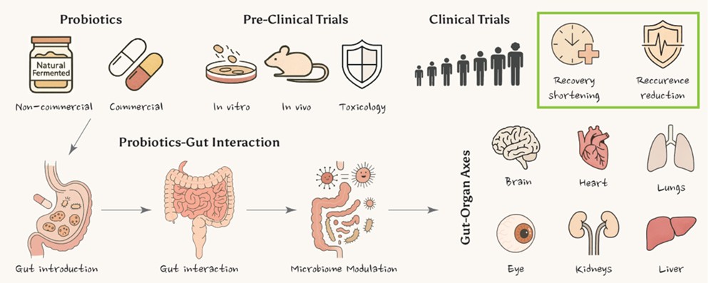 Influence of Probiotics on Gut-linked Axes
