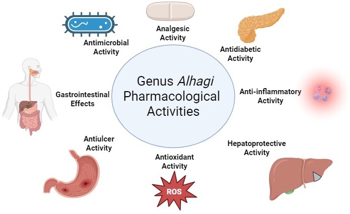 The Genus Alhagi (Fabaceae): An Ethnopharmacological, Phytochemical and Pharmacological Review
