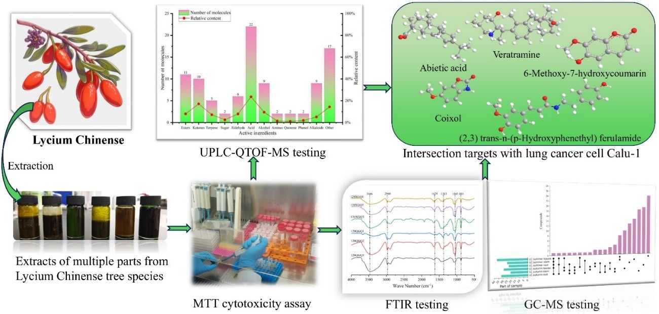 Heterogeneity of Ethanolic Extract of Lycium Chinense Miller and its Multi-target Anti-Lung Cancer Mechanism in Calu-1 Cells
