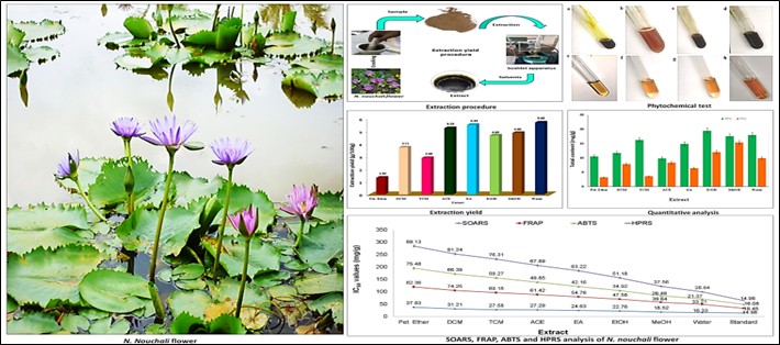 Quantitative Phytochemical Analysis and Antioxidant Profile of Nymphaea nouchali Flower
