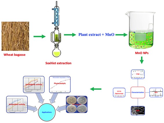 Synthesis of Biogenic Manganese Oxide Nanoparticles from Wheat Bagasse and Their Applications in Biological and Dye Degradation Potential
