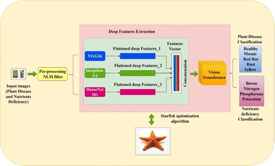 Deep Learning-Based Detection of Micronutrient Deficiencies and Disease Prediction in Sugarcane Crops
