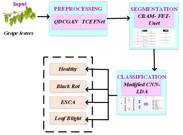 Quantum Deep Convolutional Generative Adversarial Networks Based Denoising with Modified Convolutional Neural Network-Linear Discriminant Analysis for Early Disease Detection in Grape Leaves
