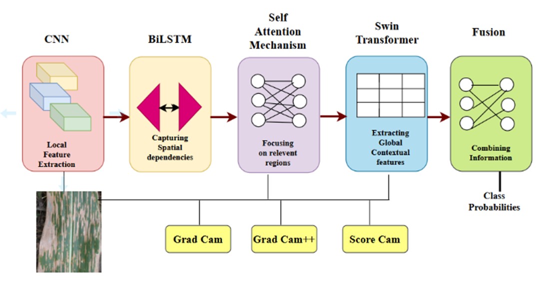 Towards Precision Agriculture: Interpretable Vision-Based Diagnosis of Plant Diseases using Hybrid Transformer Architecture
