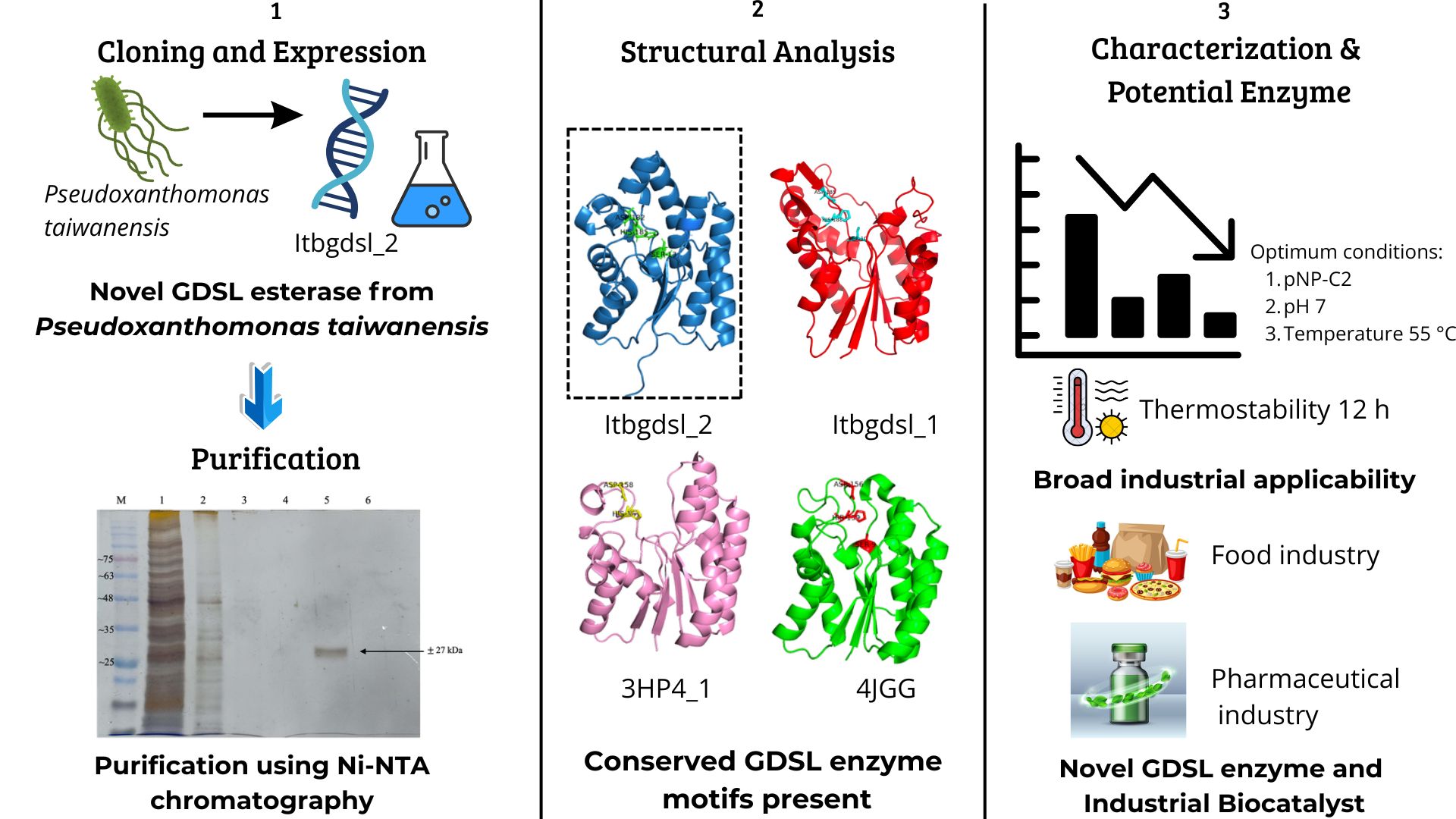 Characterization of a Novel GDSL Esterase/Lipase (Itbgdsl_2) from Pseudoxanthomonas taiwanensis&nbsp;
