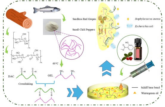 Preparation of Antioxidant and Antibacterial Dialdehyde Cellulose/Gelatin Composite Films Containing Wintergreen Oil for Food Preservation
