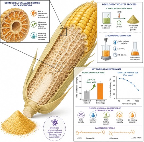 Study of the Physicochemical Properties of Corn Cobs and Optimisation of Carotenoid Extraction
