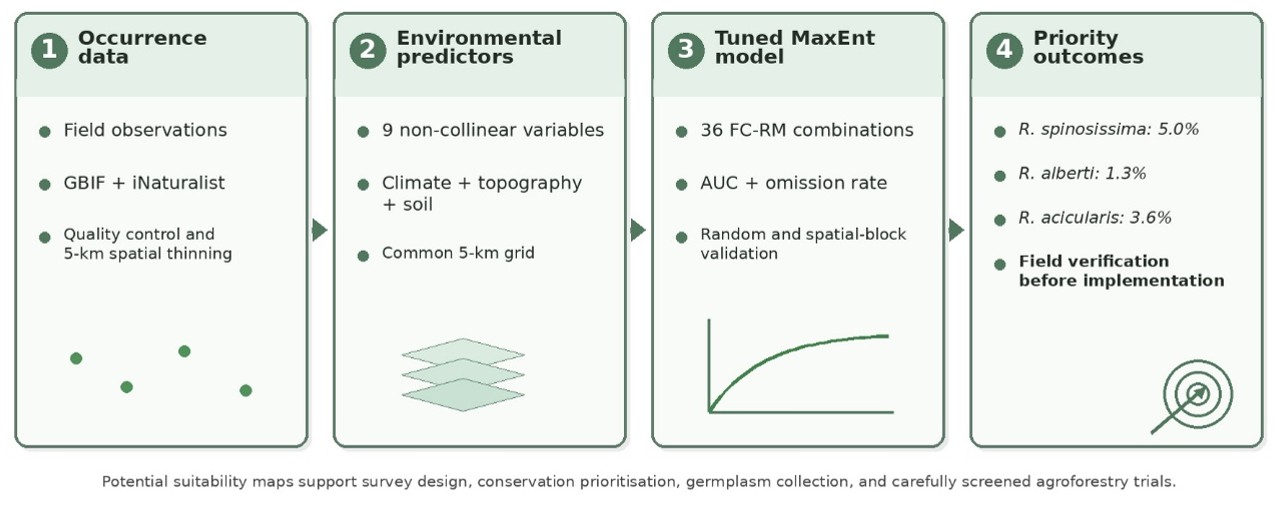 Spatial Prioritisation of Wild Rosa Species in Kazakhstan Based on the Maximum Entropy Algorithm for Agroforestry and Conservation Planning
