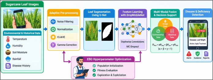 Multimodal Barber-Optimized DropMobileNet Network: A Lightweight Multimodal Framework for Disease Detection and Nutrient Stress Identification in Sugarcane Crops Using Leaf Image Analysis
